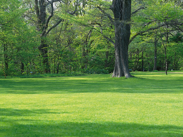 question1-1(完成例)