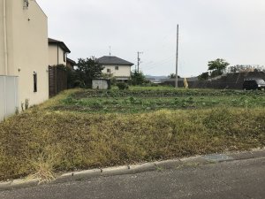 2018-06-21 16.20 (6)掛川市家代の里 JA掛川市農協