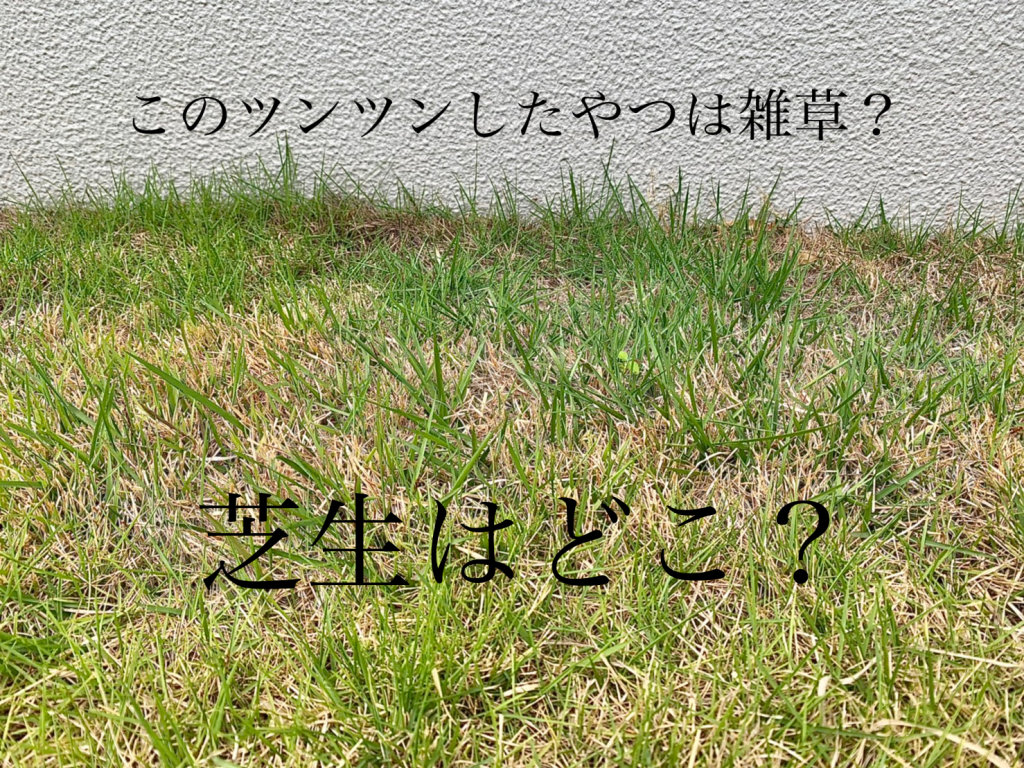 C4A7C0D6-EF93-4094-8C9D-743B4E86C34B