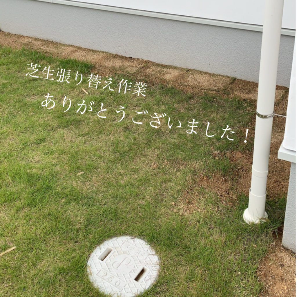 E4FBE8F6-C0E5-4DF6-BFBB-A75D64301D3A