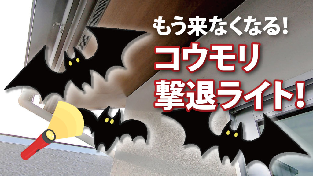 コウモリ撃退