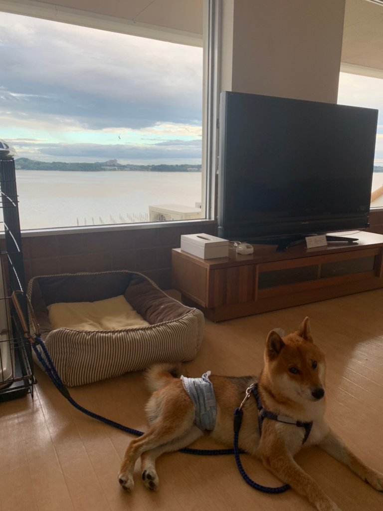 LINE_ALBUM_さぶと旅行(浜名湖レイクサイドプラザ)_220904_13