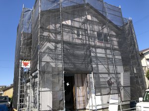 IMG_0507