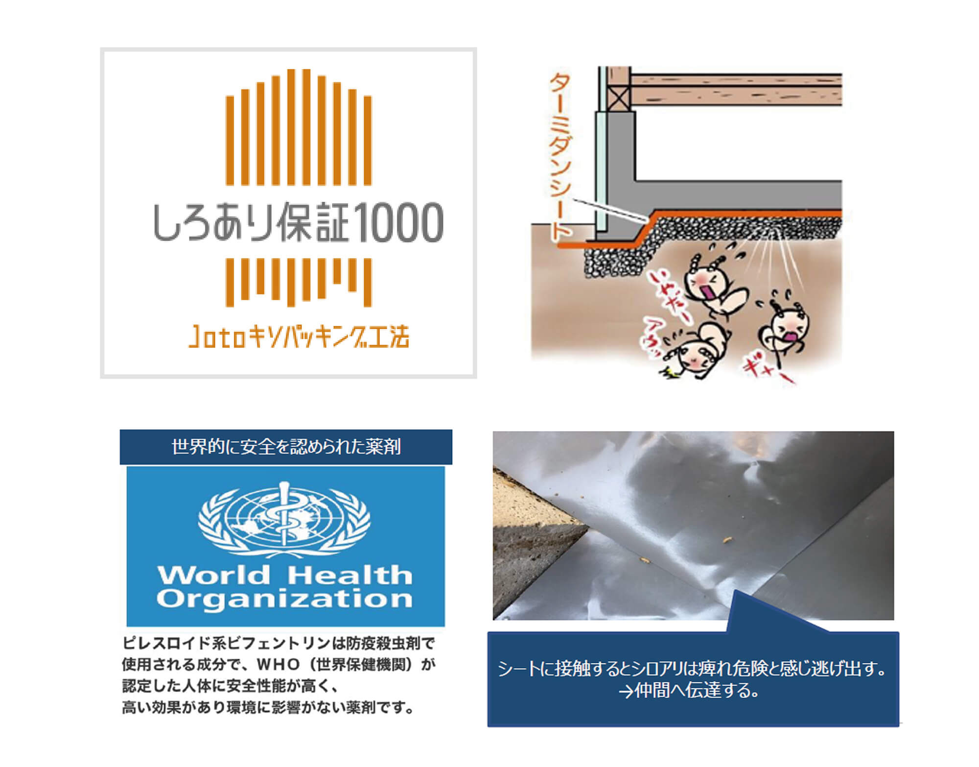 名称未設定-1
