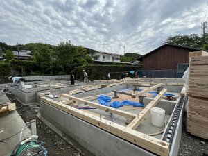 IMG_1342