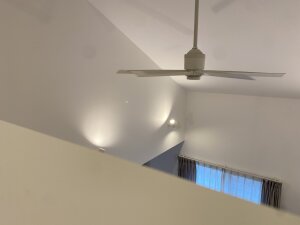 IMG_8533