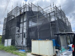 IMG_1940