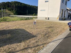 IMG_0703[1]