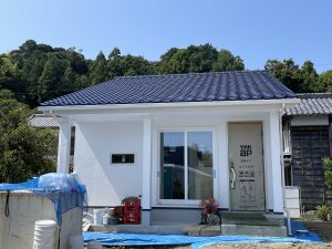 IMG_2566