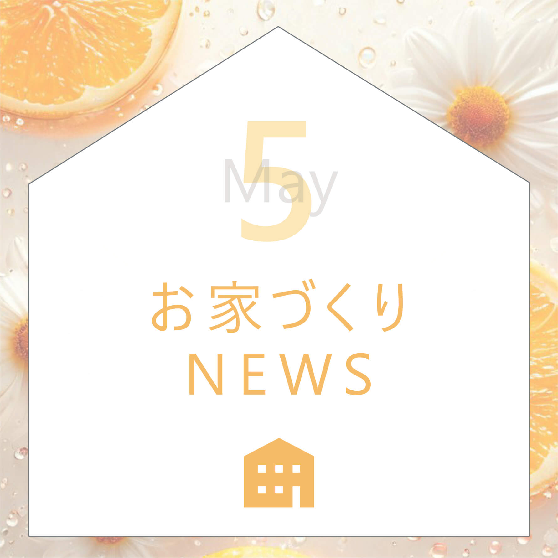 Open_House_2026年05月