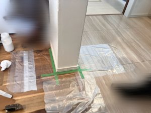 IMG_1947
