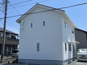 IMG_7615