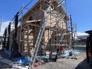 IMG_8960