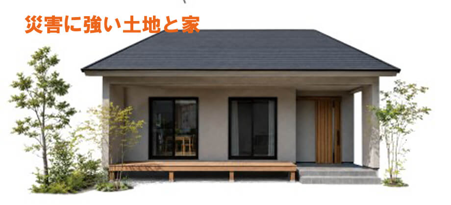 豊沢